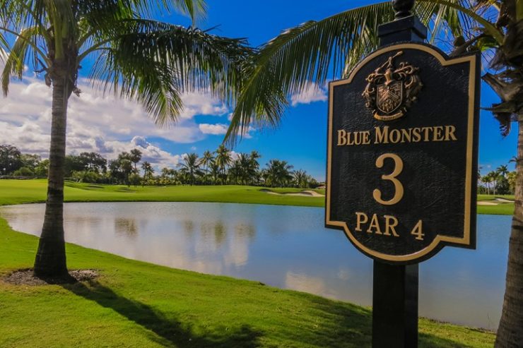 The Blue Montster Course