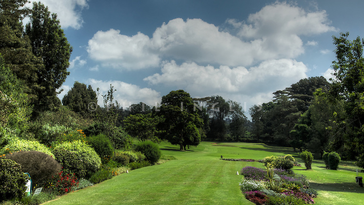 Limuru Golf Club, Limuru, Kenya. Picture Credit / Phil Inglis